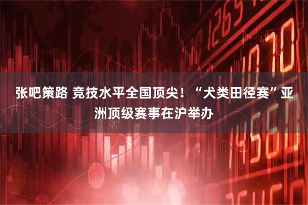 张吧策路 竞技水平全国顶尖！“犬类田径赛”亚洲顶级赛事在沪举办
