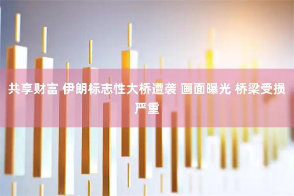 共享财富 伊朗标志性大桥遭袭 画面曝光 桥梁受损严重