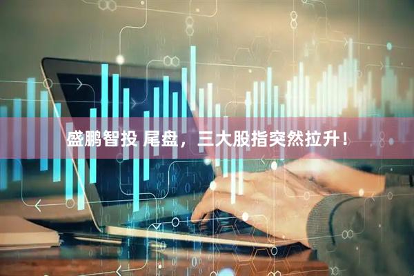 盛鹏智投 尾盘，三大股指突然拉升！